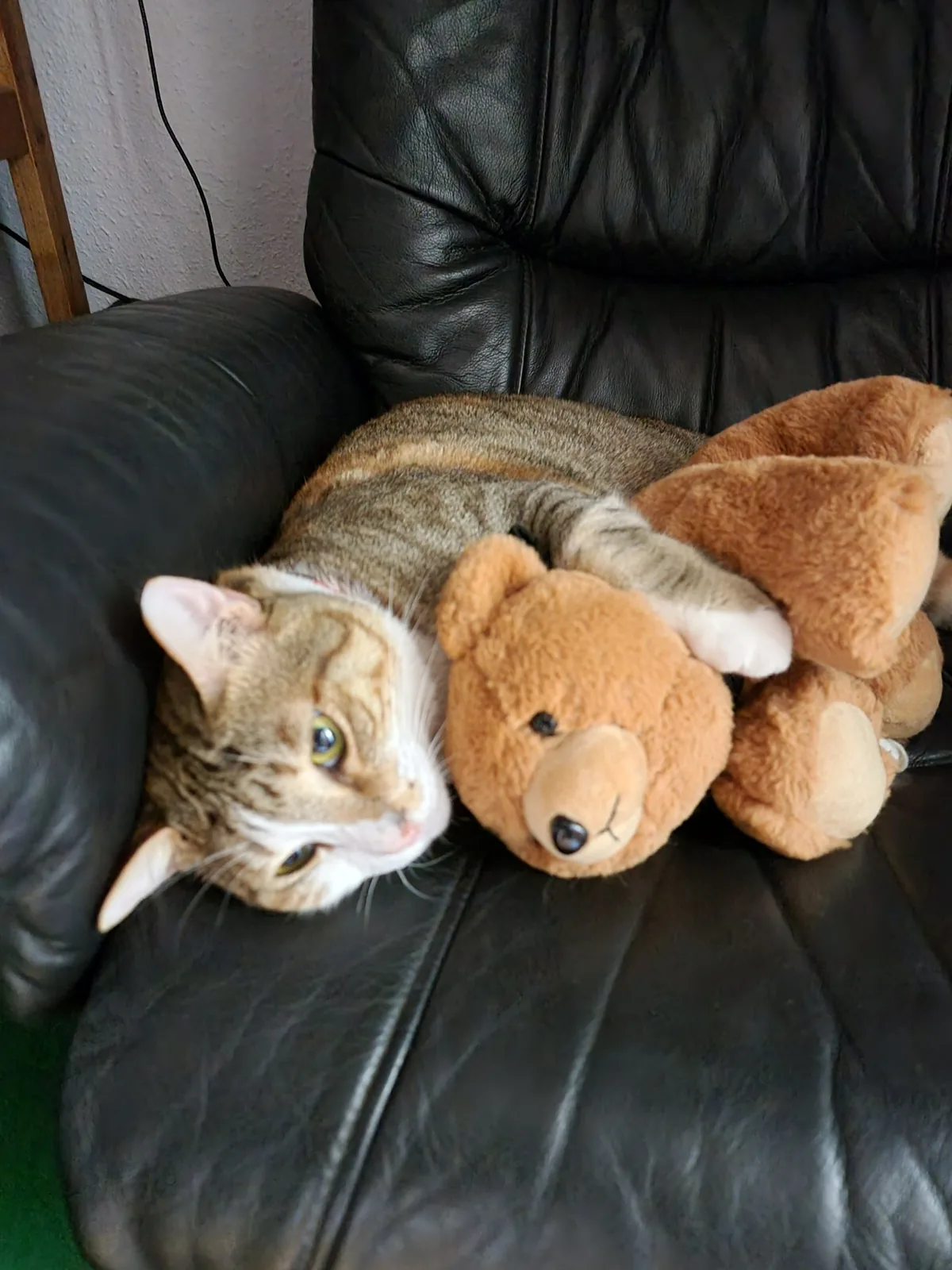 Teddy bear hugs (photo 6 of 14)