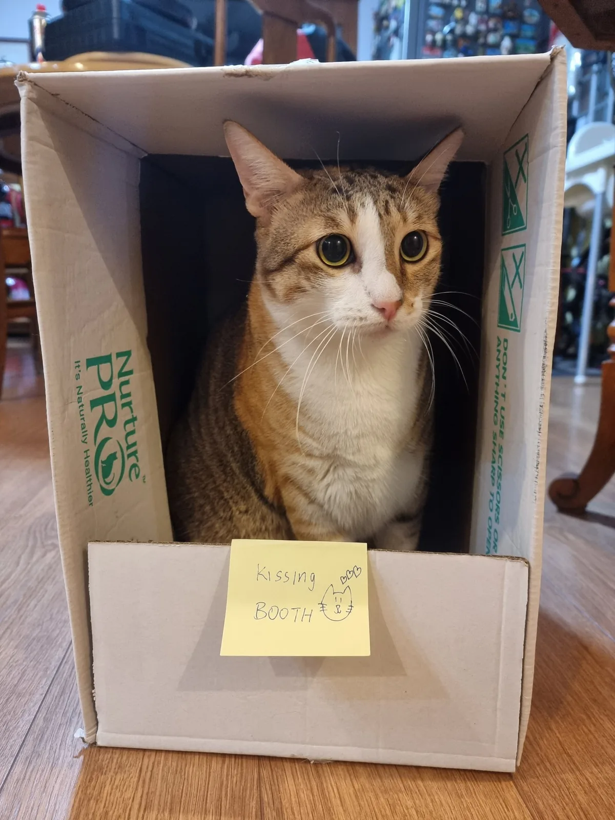 Kissing booth: now open (photo 7 of 14)