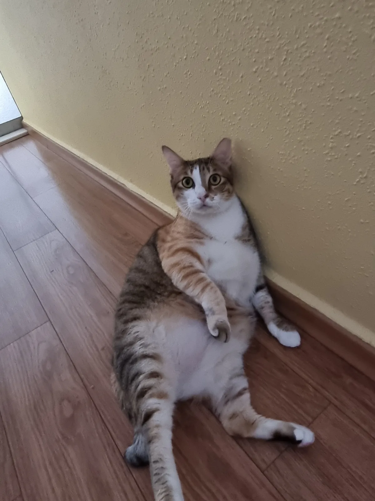 Sitting like a person (photo 10 of 14)