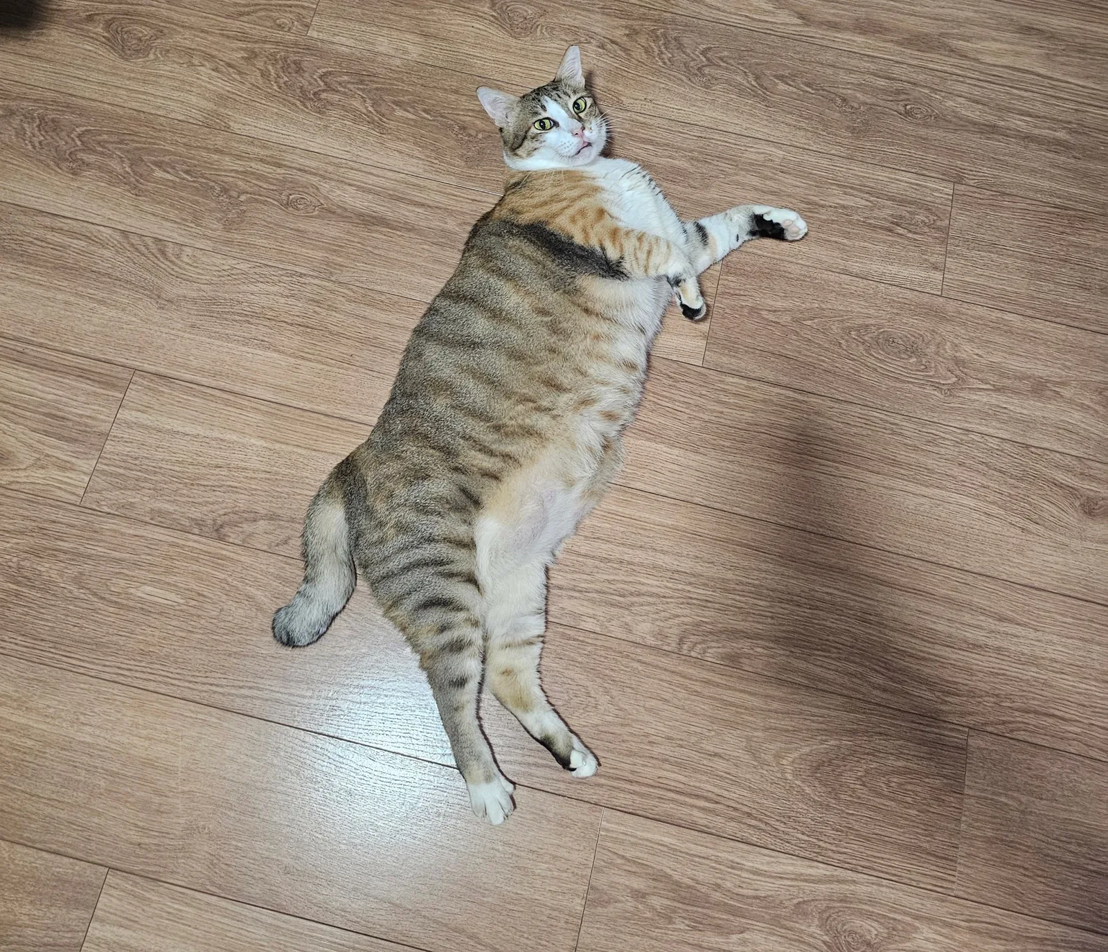 Floor tester at work (photo 14 of 14)